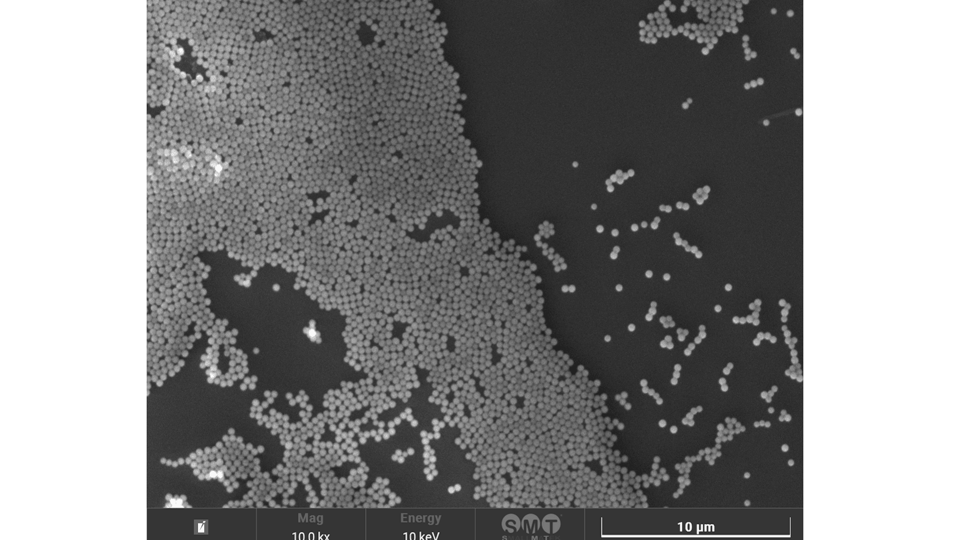 SiO2 NPs 2